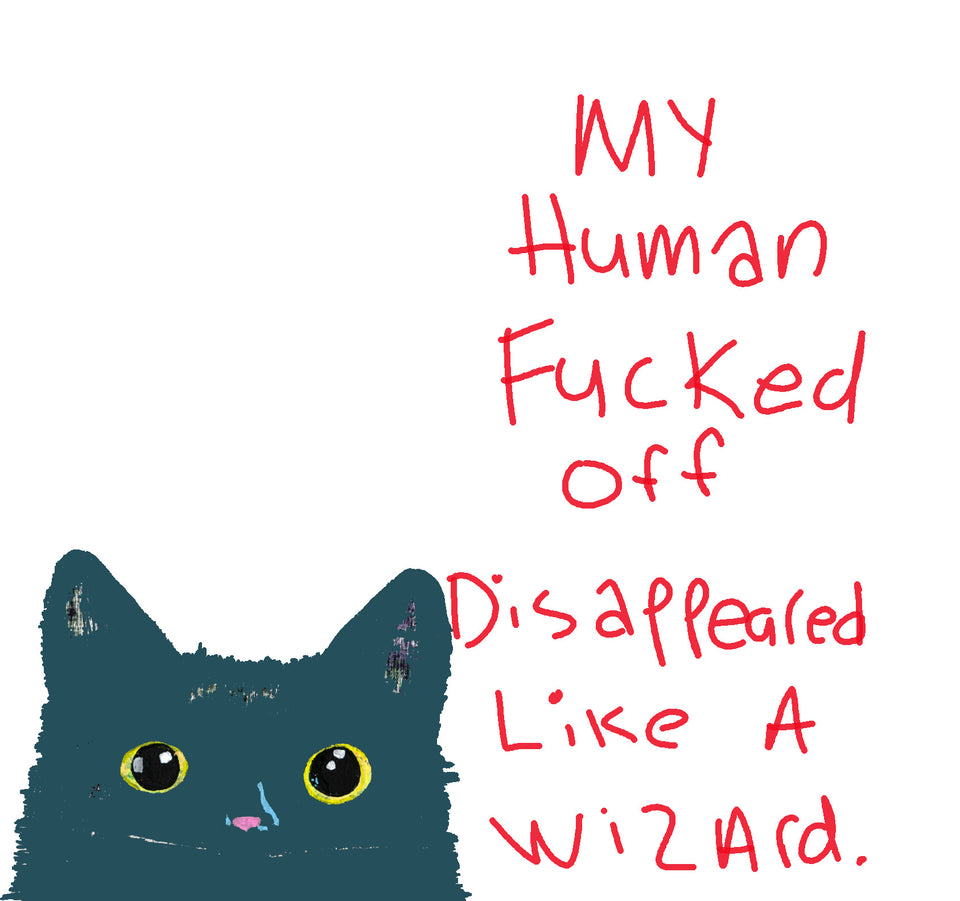 Disappeared Like A Wizard